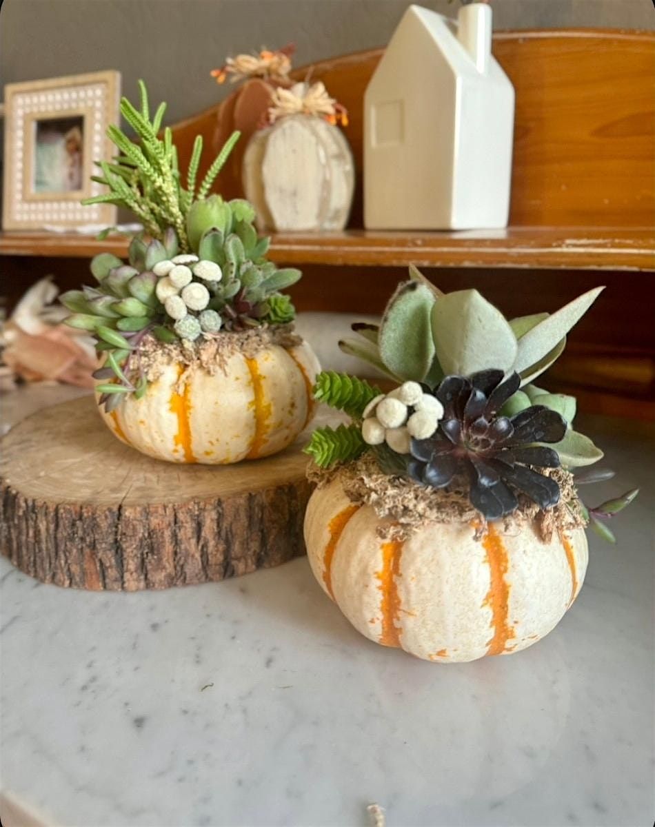 Fall Succulent Class