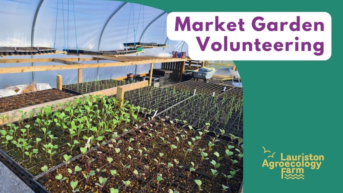 Market Garden Volunteering