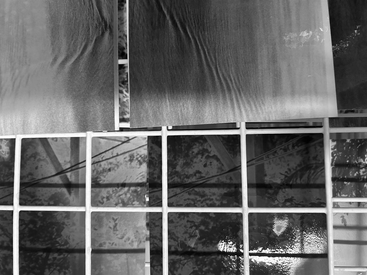 Insider Gaze: Members Masterclass Darkroom Printing