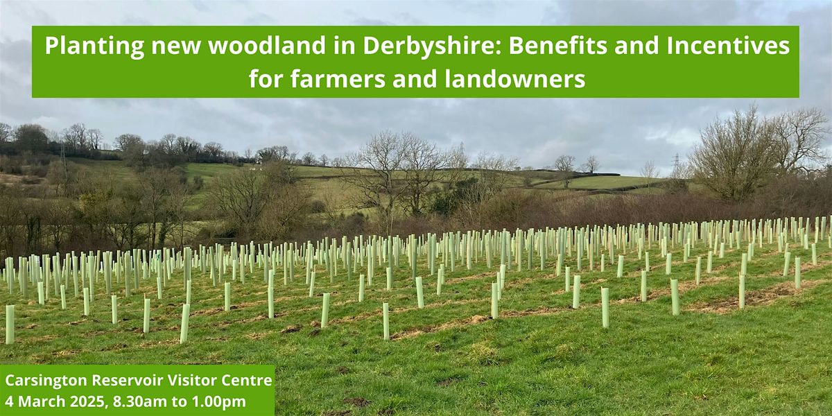 Planting new woodland in Derbyshire: Benefits and Incentives