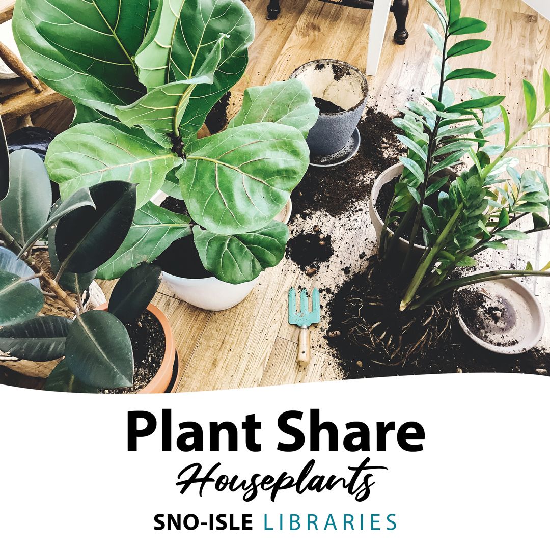 Houseplant & Seed Share