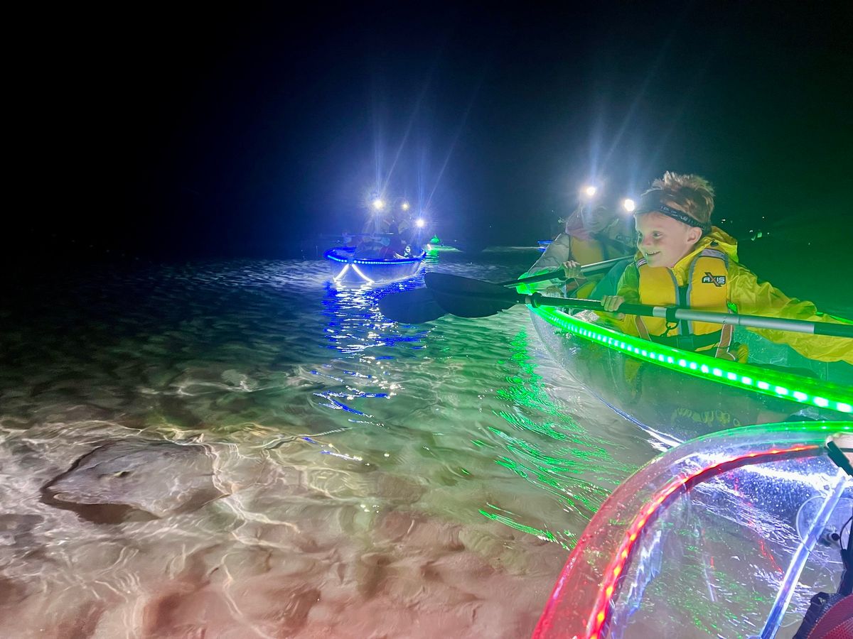 Family-Friendly Night Kayak Tour