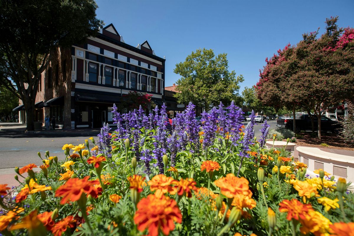 Adventurous Scavenger Hunt - Vacaville\u2018s Vamoose Venture