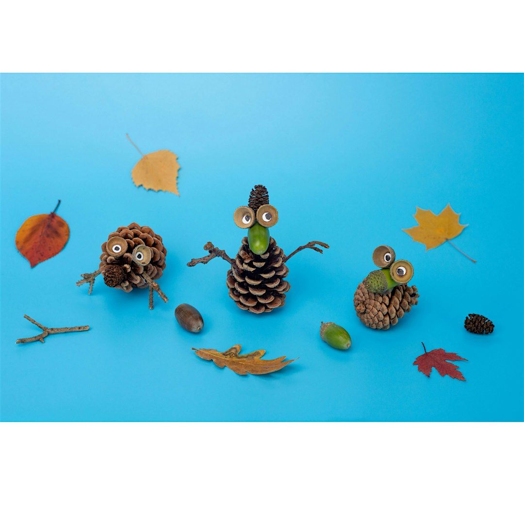 Pine Cone Pals: Family Program, $4 per person upon arrival