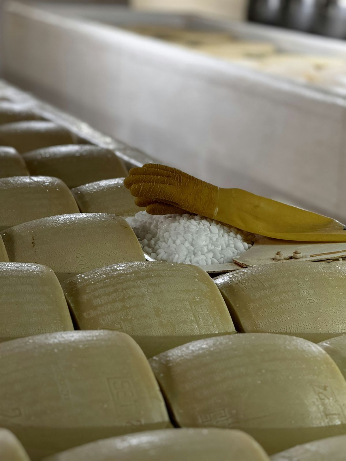 Parmigiano Reggiano Cracking at The Son of a Butcher