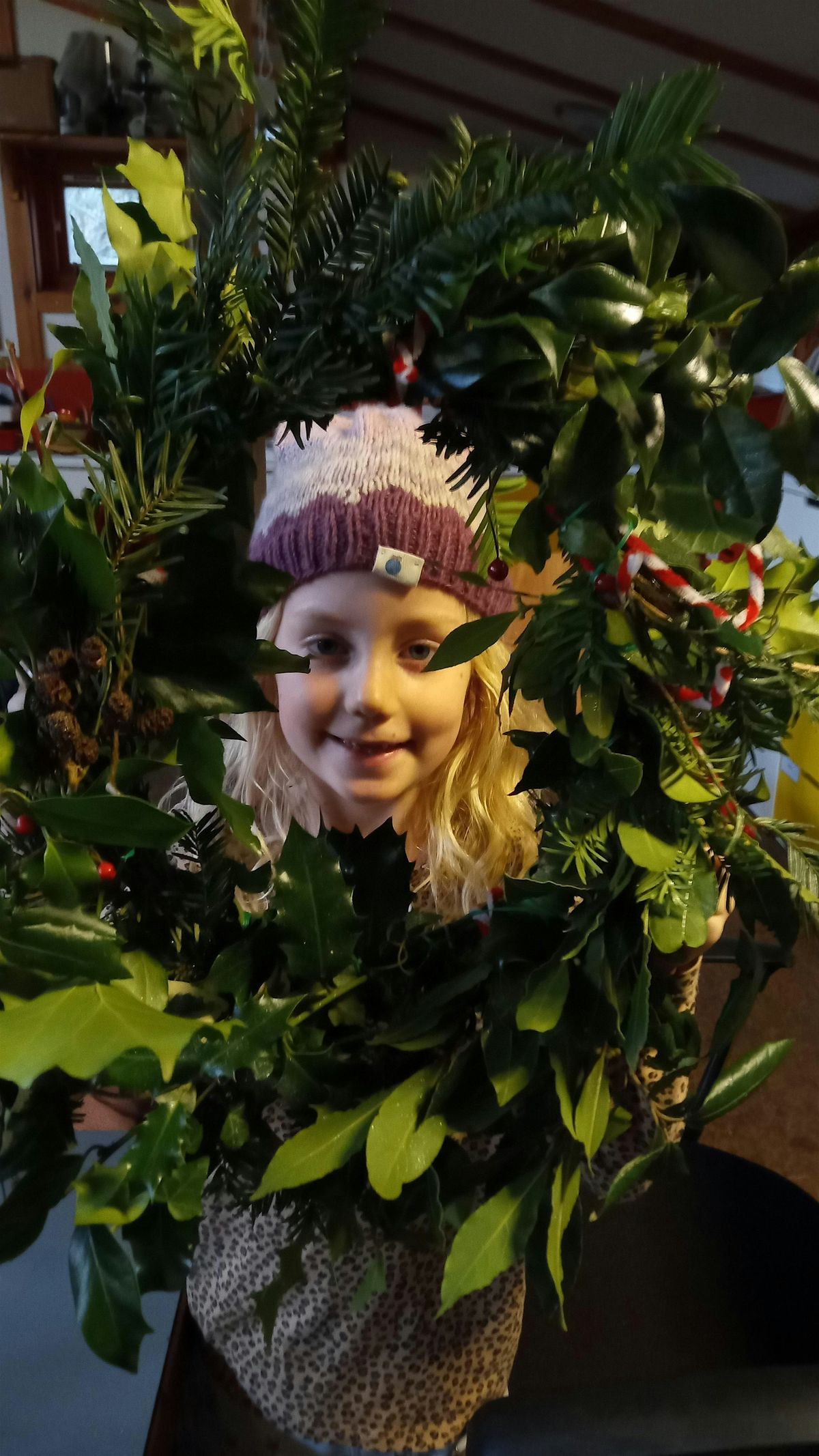 The Holly and the Ivy Family Workshop Centre for Wildlife Gardening