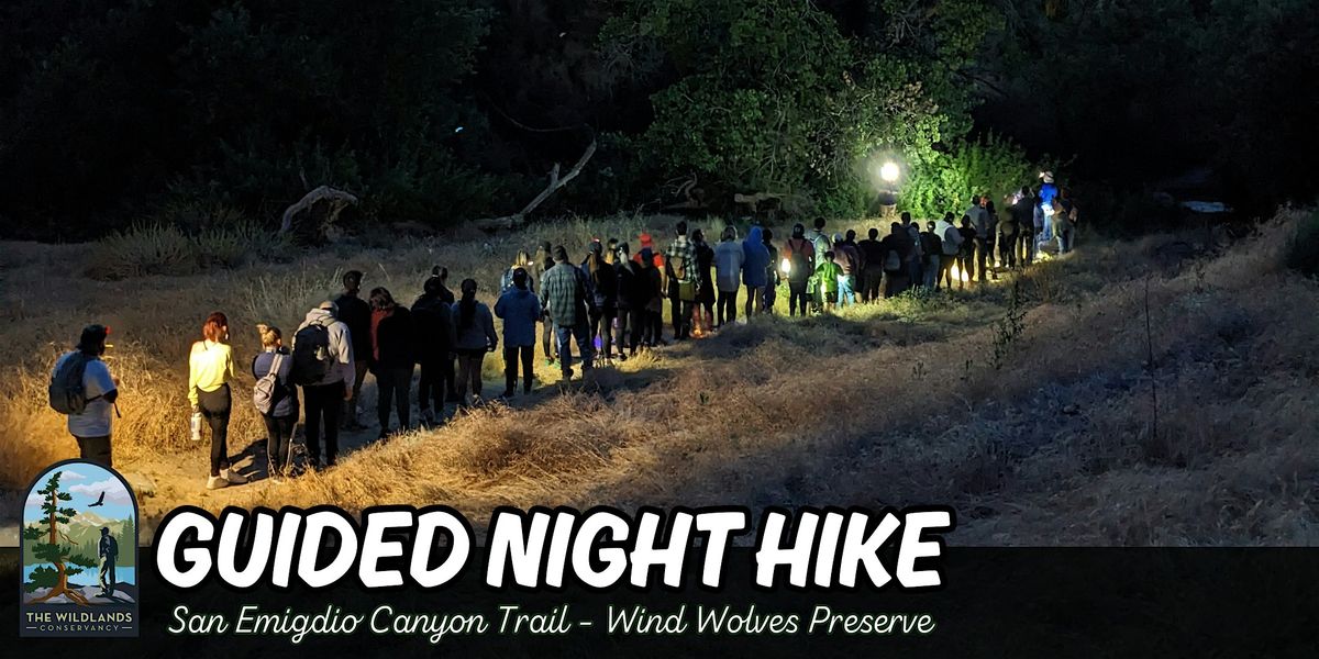 Guided Night Hike at Wind Wolves Preserve