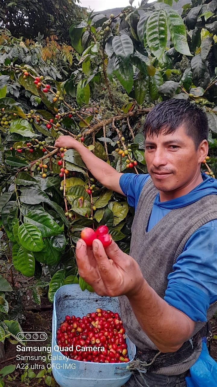 Los Hermanos Flores Guevara, Peru