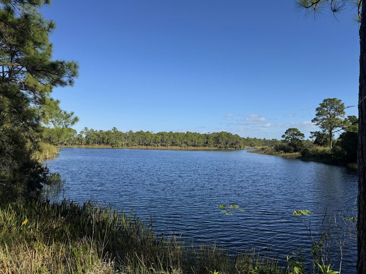 Explore Natural Martin Nature Walk