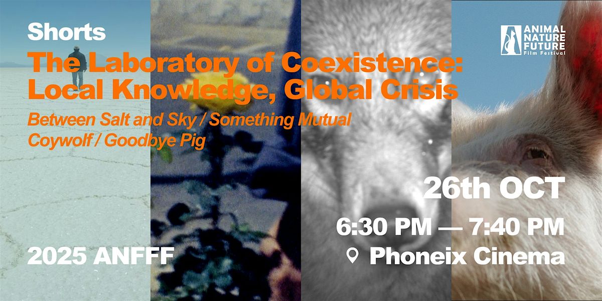 Shorts: The Laboratory of Coexistence