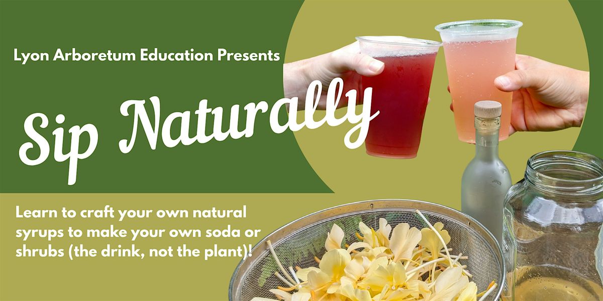Sip Naturally ! Make your own soda!