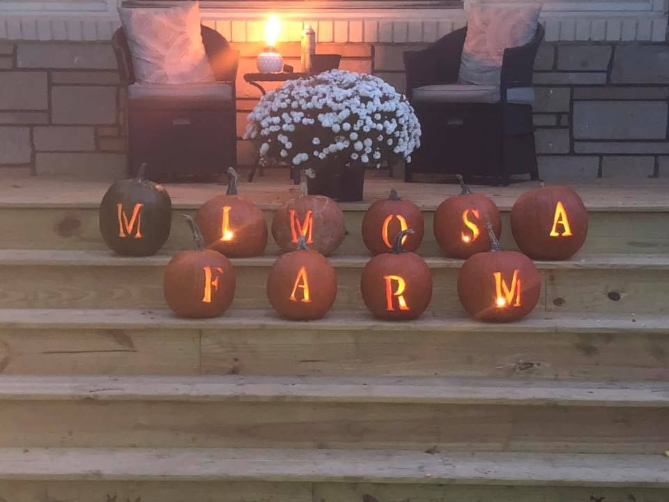 Mimosa Farm\u2019s Annual Fall Festival