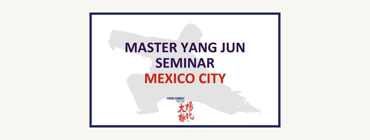 Master Yang Jun Seminar: Mexico City