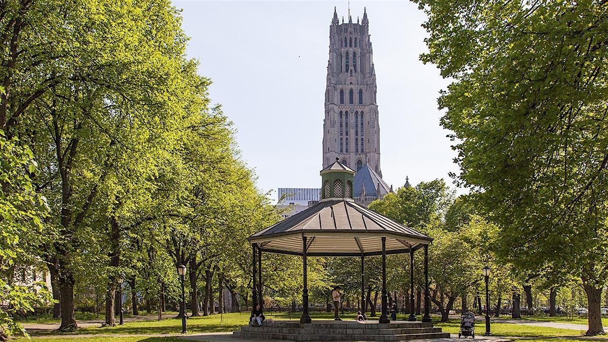 Volunteer at Sakura Park