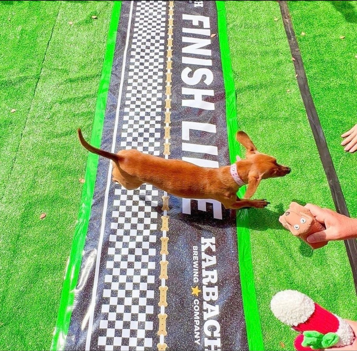 Inaugural Wiener Dog Derby!