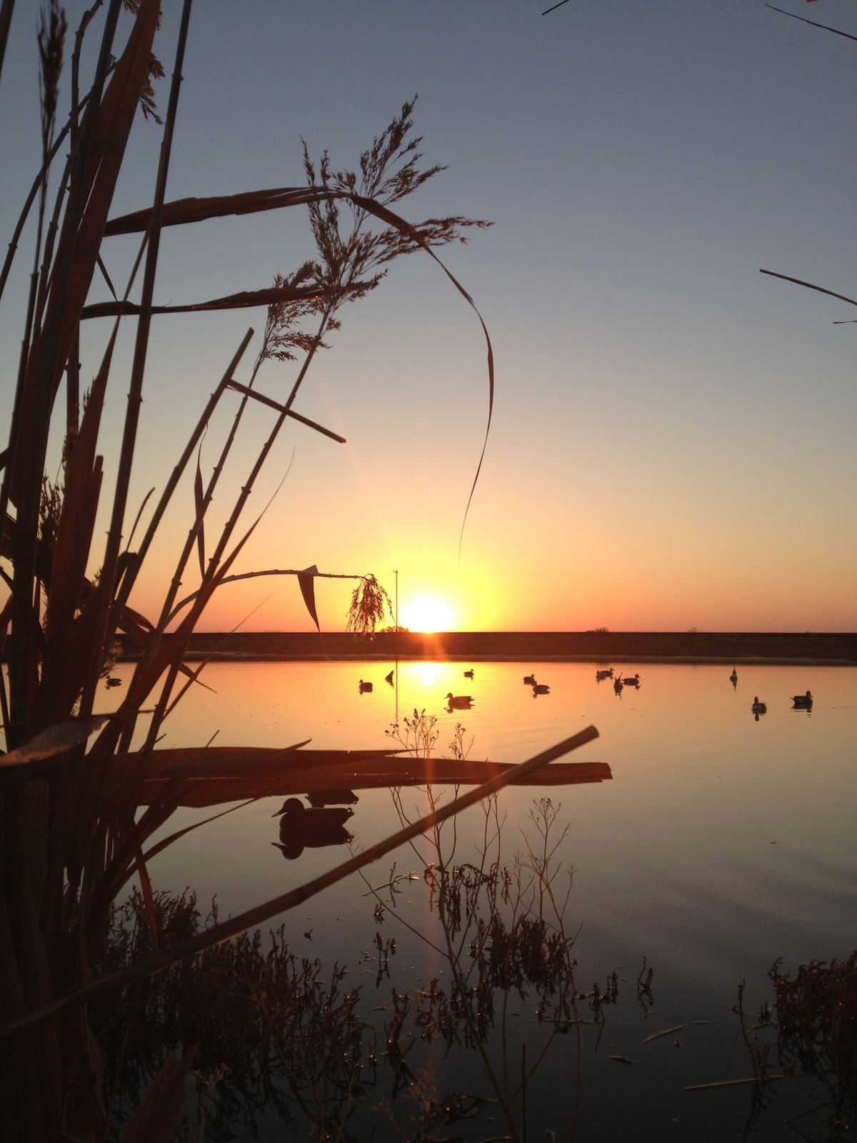 Woodford County KY Ducks Unlimited Annual Banquet