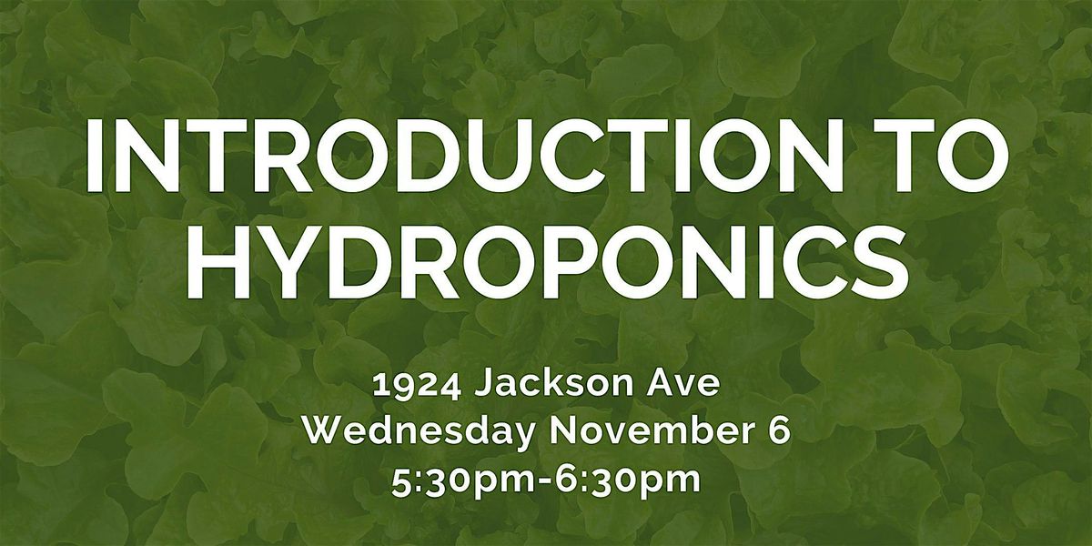 Introduction to Hydroponics