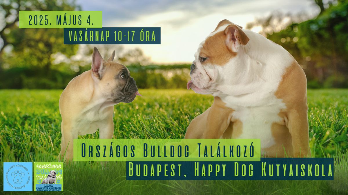 Orsz\u00e1gos Bulldog Tal\u00e1lkoz\u00f3 - Tavaszi Bulldogs\u00e1g 2025. m\u00e1jus 04. - Bp. Happy Dog