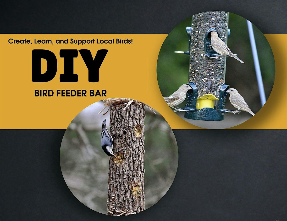 DIY Bird Feeder Bar \u2013 Build & Customize Your Own Feeder Mixes