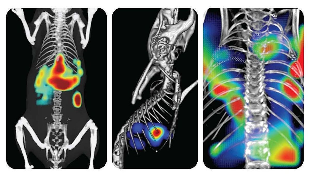 2025 In Vivo Imaging Symposium