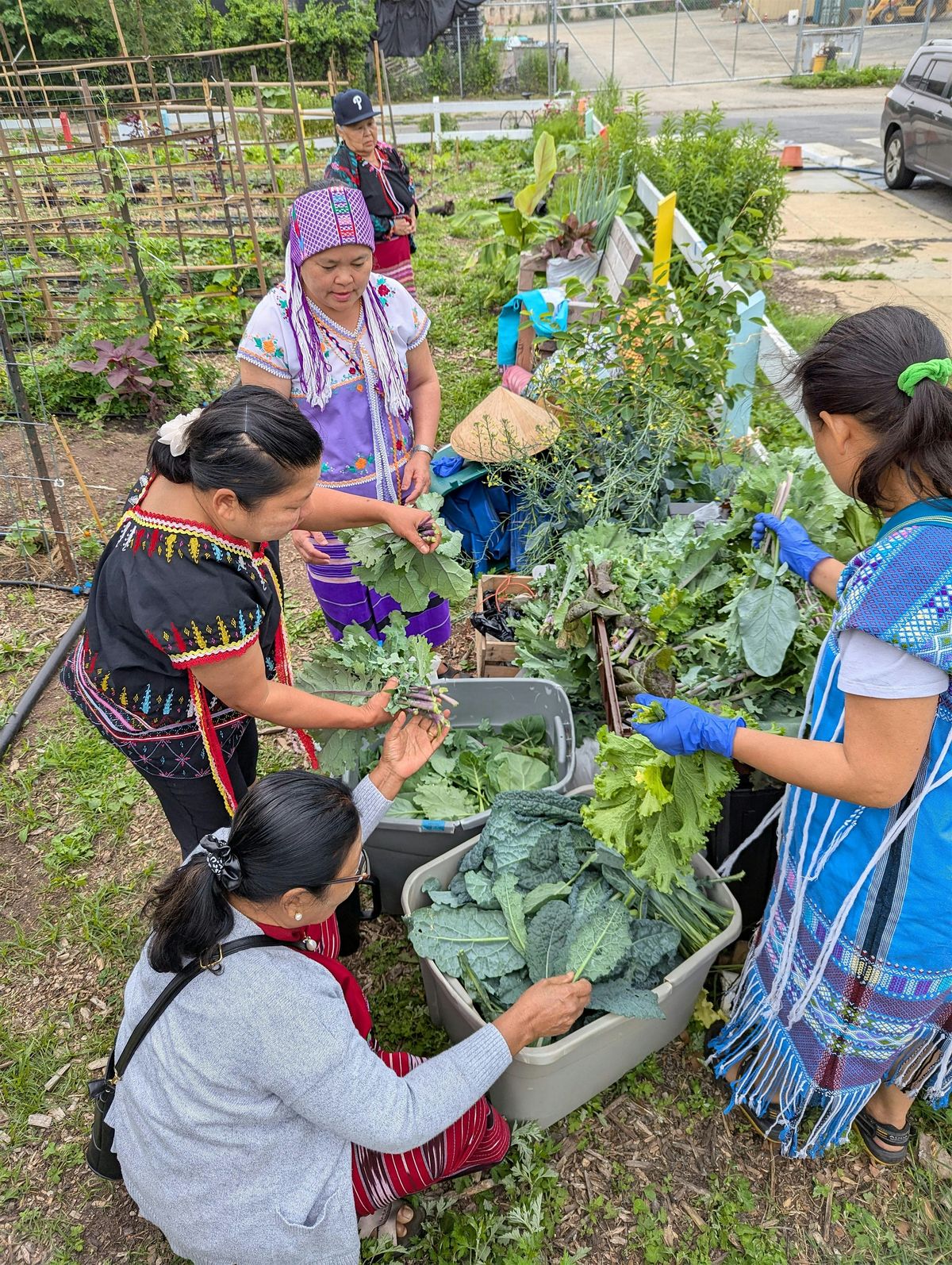 KCAP Summer Harvest Food Festival Fundraiser