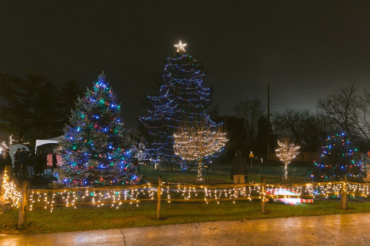 Reynoldsburg Tree Lighting Ceremony 