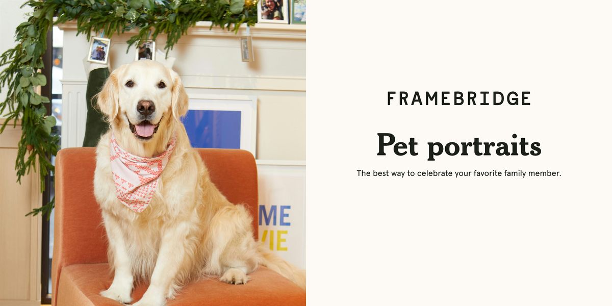 Pet Portraits at Framebridge Philadelphia