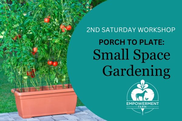 Porch to Plate: Small Space Gardening Workshop