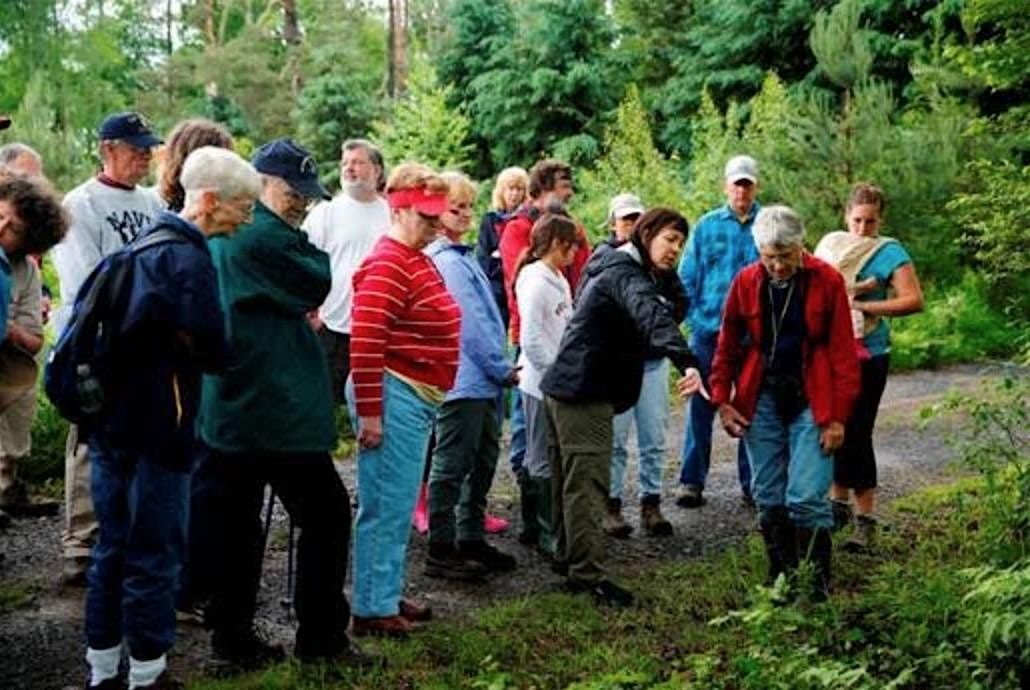 Native American Plant Walk