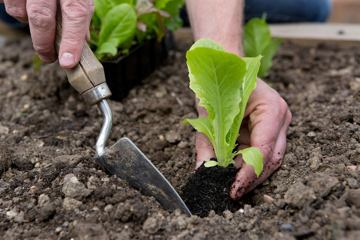 Ultimate Newbie Garden Workshop with Farmer Jeff 10.18