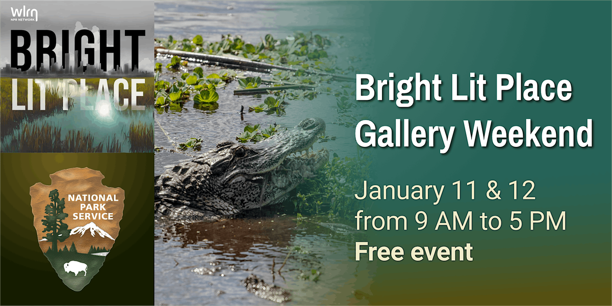 Bright Lit Place Gallery Weekend