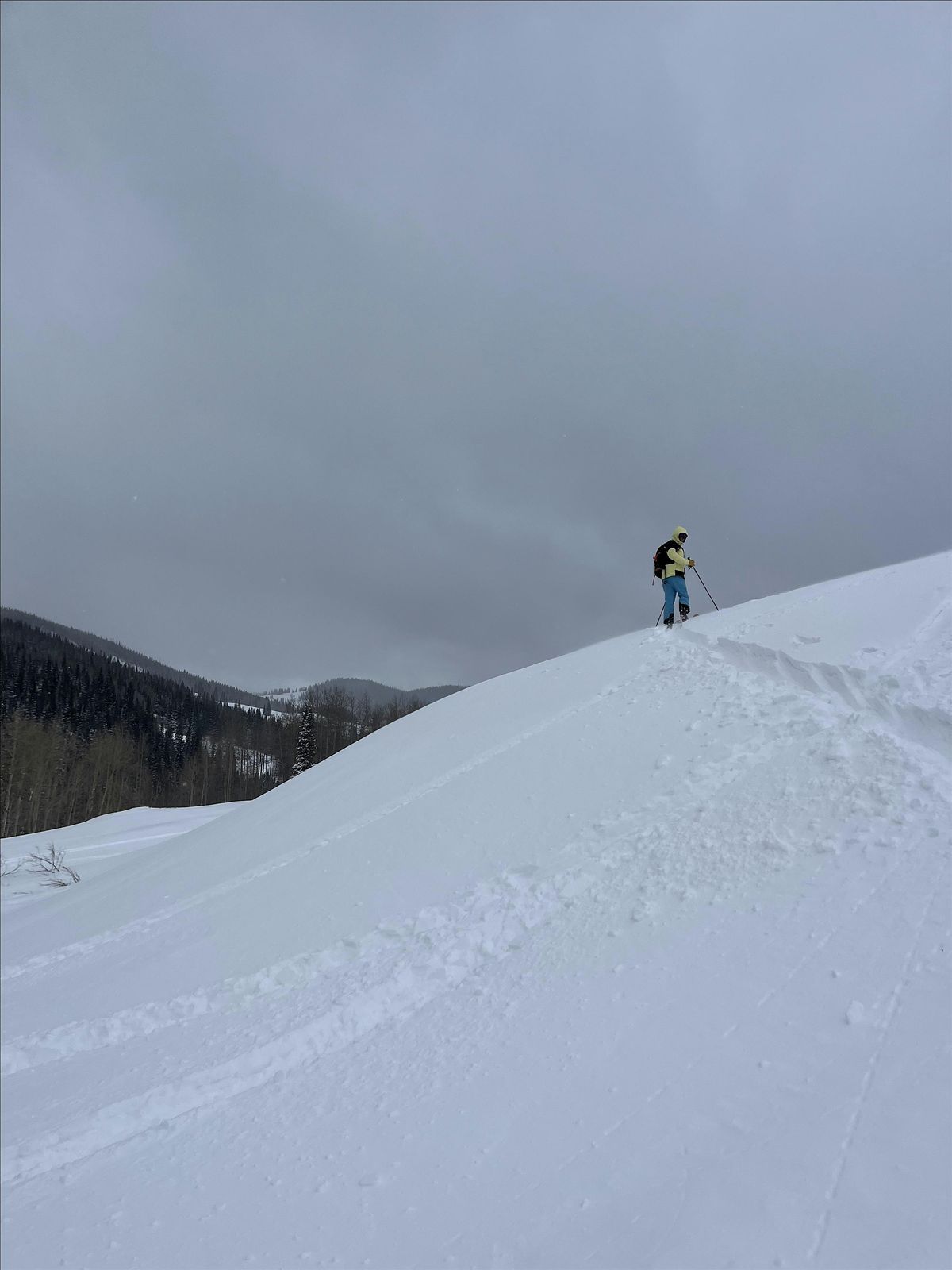 Avalanche Terrain+ : Ski \/ Split Board Avalanche Education Refresher