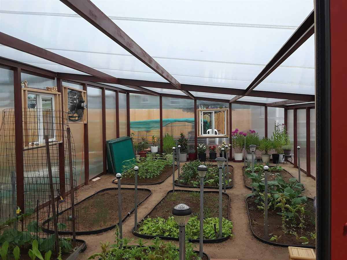 Thinking About a Backyard  Greenhouse?