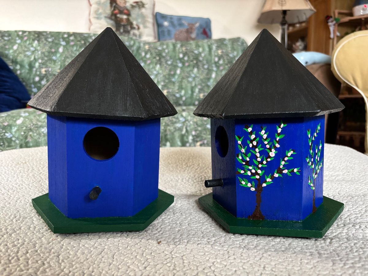 Paint Your Own Birdhouse Class