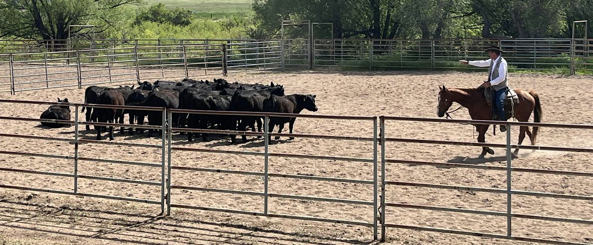 Weld County Livestock Association Stockmanship & BQA Event