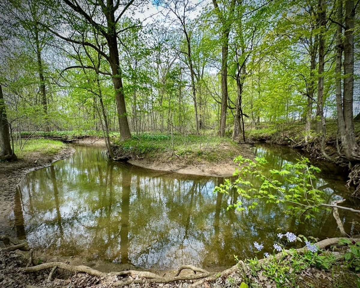 Coexisting with Nature (Coffee Creek Preserve)