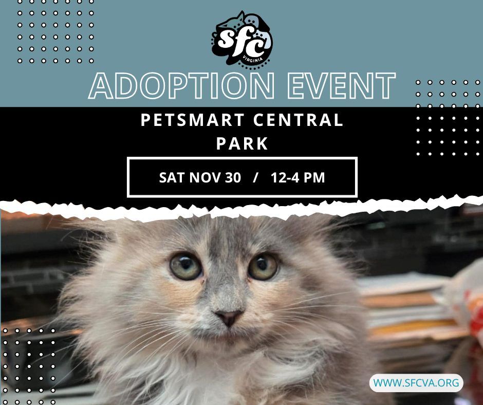 11\/30 Adoption Event at Petsmart Central Park