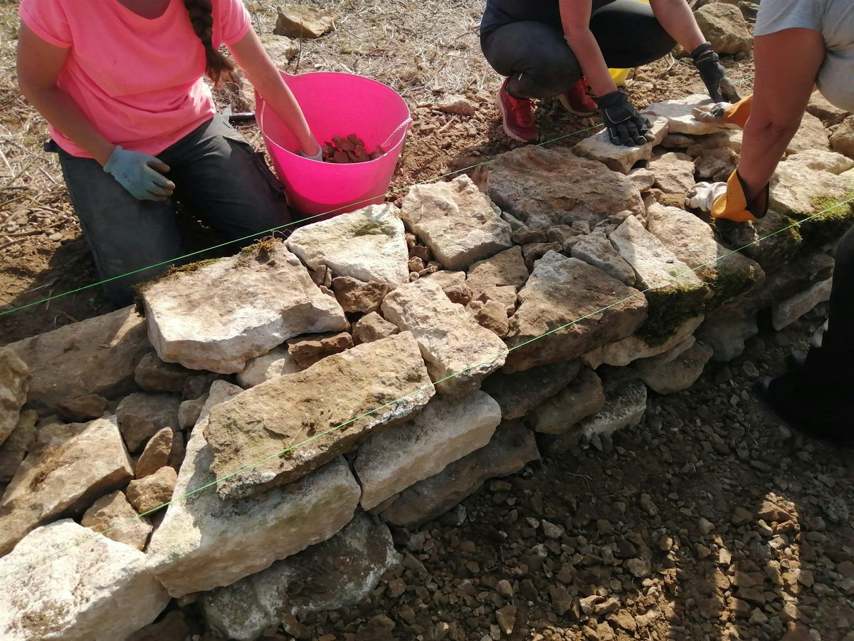 Dry Stone Walling for Beginners: 2-day course