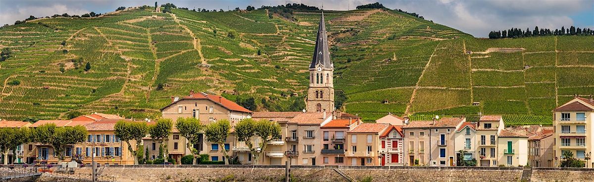 Rhone Valley Wine Tasting