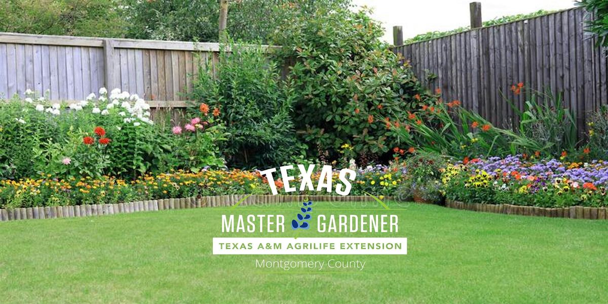 \u201cWhat Does Your Lawn Say About You?\u201d