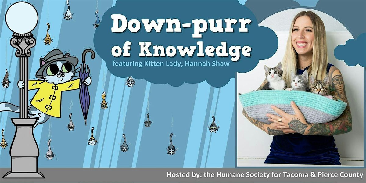 Workshops with Kitten Lady