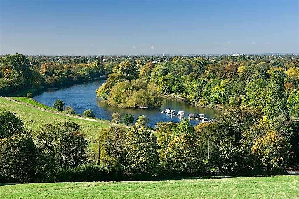 Wisdom Walk in Richmond Park