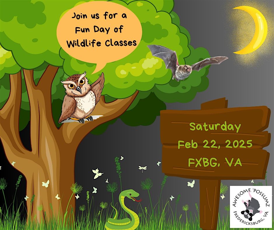 A Fun Day of Wildlife Classes!