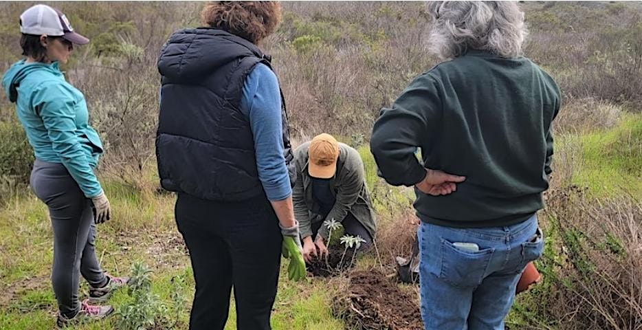 BWA San Diego: Discover With Us for Gonzales Canyon Habitat Restoration