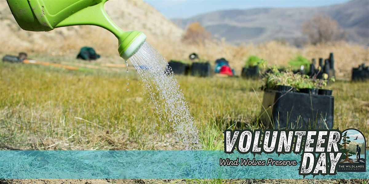 Volunteer Day: Plant Watering -  Wind Wolves Preserve