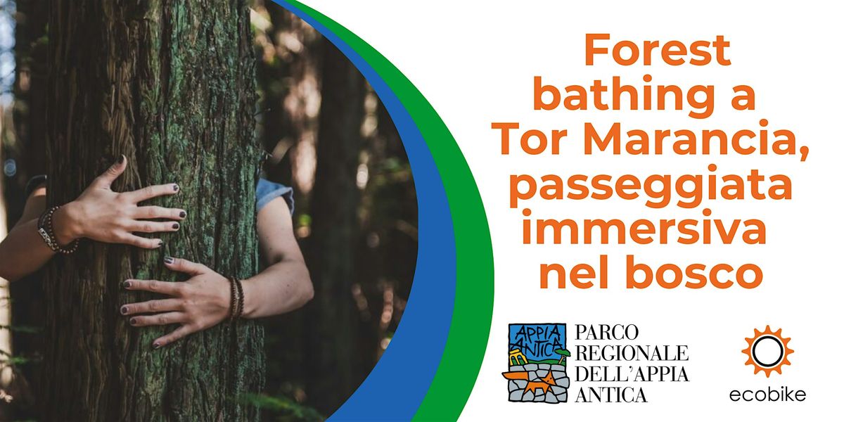 Forest-bathing a Tor Marancia, passeggiata immersiva nel bosco