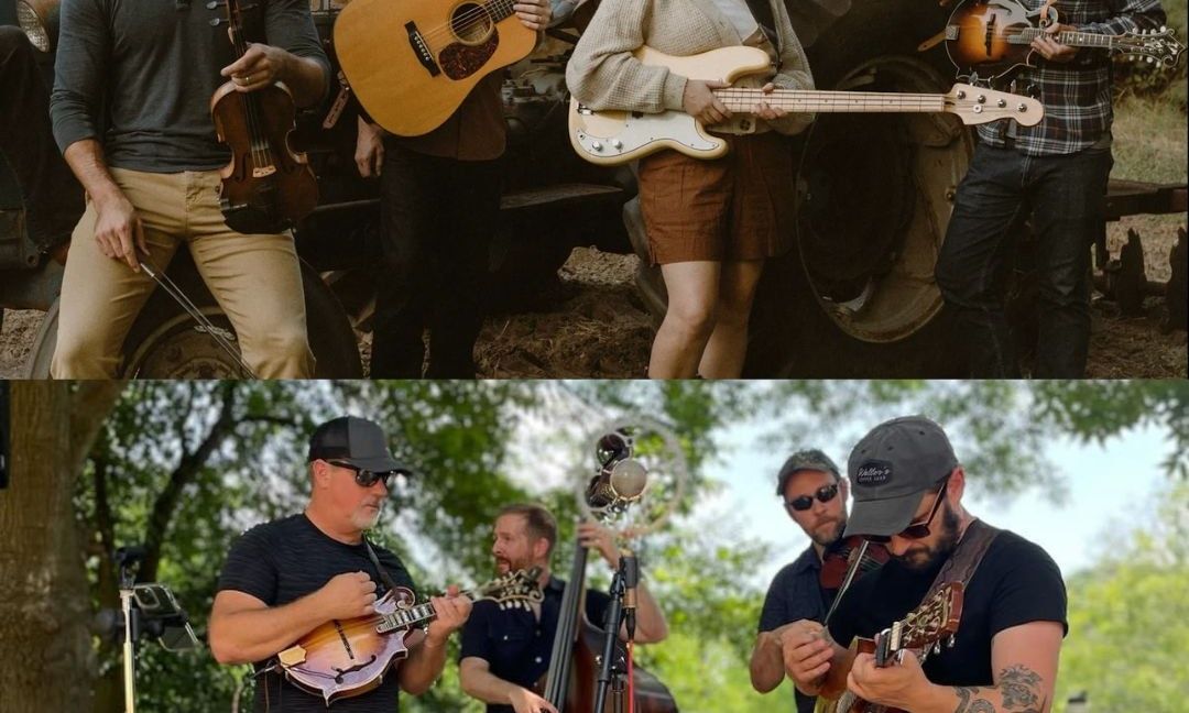 Swamptooth and Georgia Mountain String Band