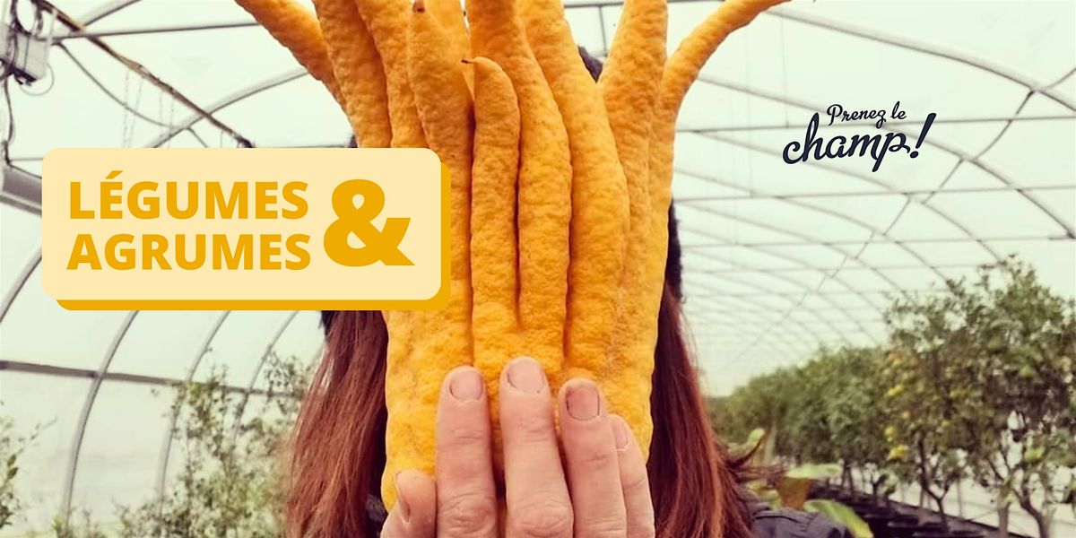 Prenez le champ "l\u00e9gumes & agrumes"