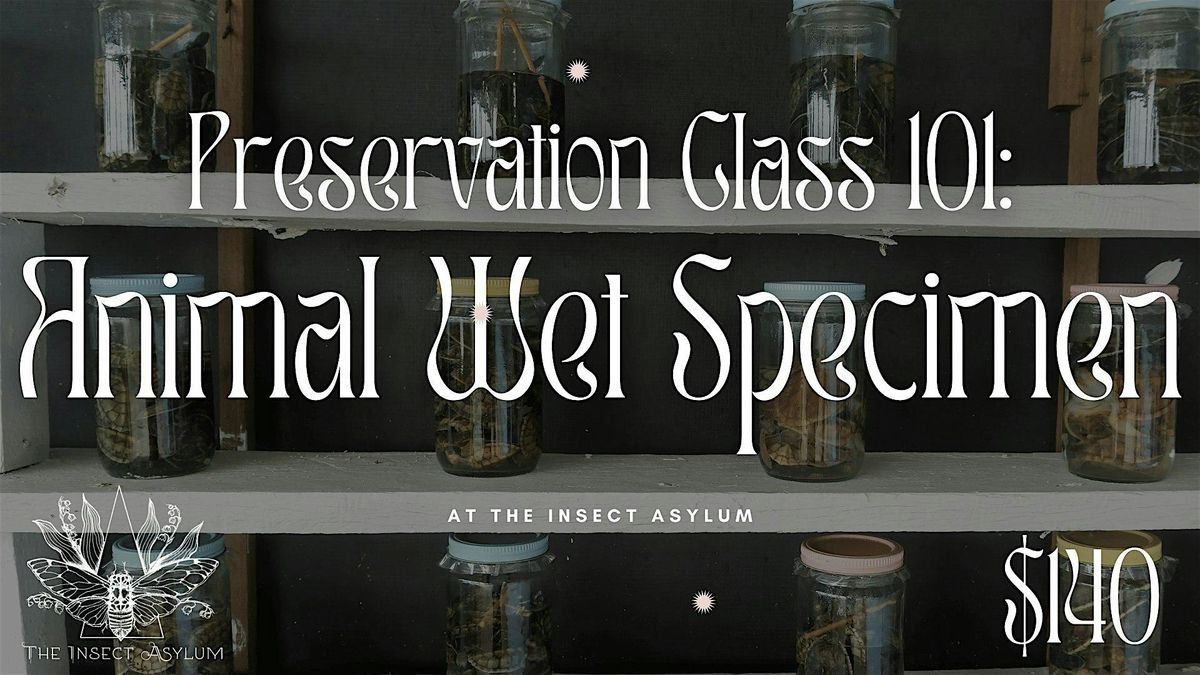 Animal Wet Specimen Workshop