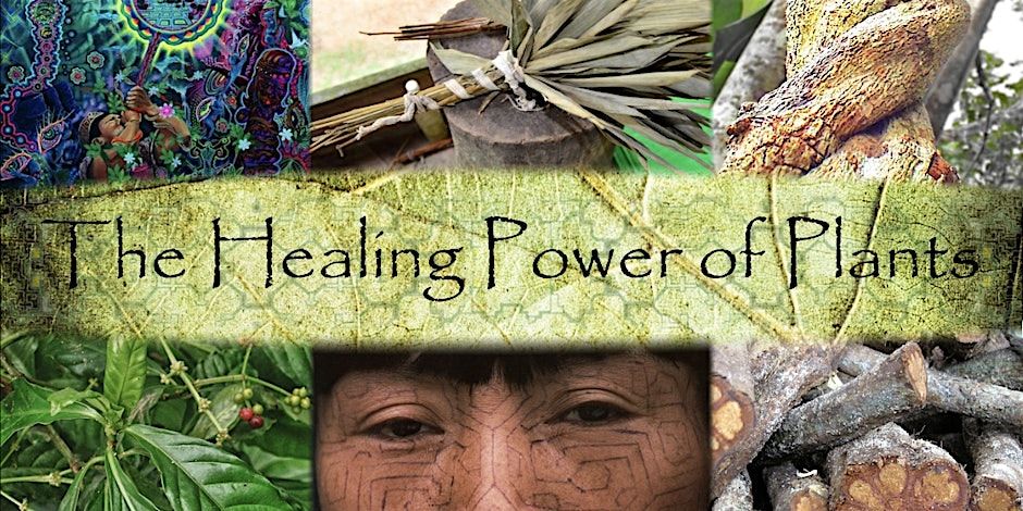 Sacred Plant Medicine Talk